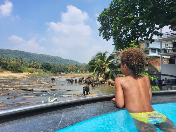 sri lanka zajazd jamajkanita