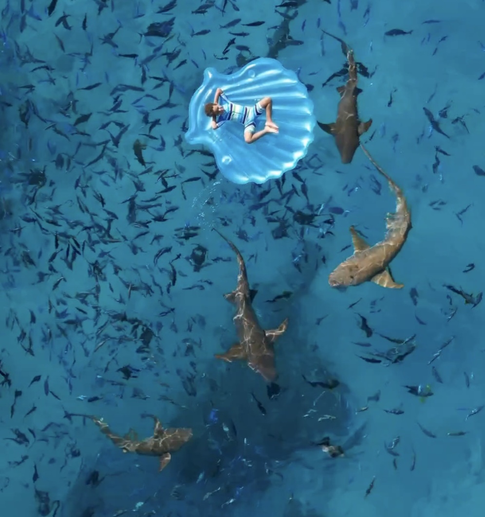 maldivy sri lanka zajazd