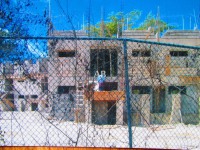/album/ako-sa-jamajka-zmenila-od-roku-2000/img-9691-jpg/
