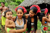 /album/fotogaleria-kombo-panama-a-jamajka/embera-indian-village-experience-colon-panama-1-jpg2/
