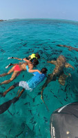 /album/fotogaleria-sri-lanka-maldivy-zajezd-vy-a-my/dji-mimo-20260302-091420-20260302091421-1772455981544-video-jpg2/