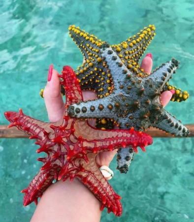 JAMAJKA VÝLETY OCHO RIOS