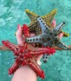 JAMAJKA VÝLETY OCHO RIOS