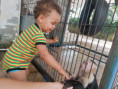 /album/fotogaleria-panama-zajazd-vy-a-my/img-20210827-102625-jpg/