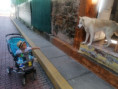 /album/fotogaleria-panama-zajazd-vy-a-my/img-20210901-143324-jpg/