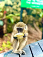 /album/fotogaleria-karibik-island-hopping-zajazd-vy-a-my/fb-img-1692383333869-jpg/