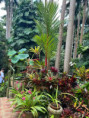 /album/fotogaleria-karibik-island-hopping-zajazd-vy-a-my/fb-img-1692383406077-jpg/