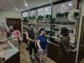 /album/fotogaleria-karibik-island-hopping-zajazd-vy-a-my/img-20250128-wa0033-jpg/