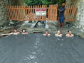/album/fotogaleria-karibik-island-hopping-zajazd-vy-a-my/img-20250128-wa0108-jpg/