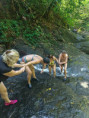 /album/fotogaleria-karibik-island-hopping-zajazd-vy-a-my/img-20250129-wa0094-jpg/