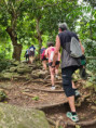 /album/fotogaleria-karibik-island-hopping-zajazd-vy-a-my/img-20250129-wa0242-jpg/